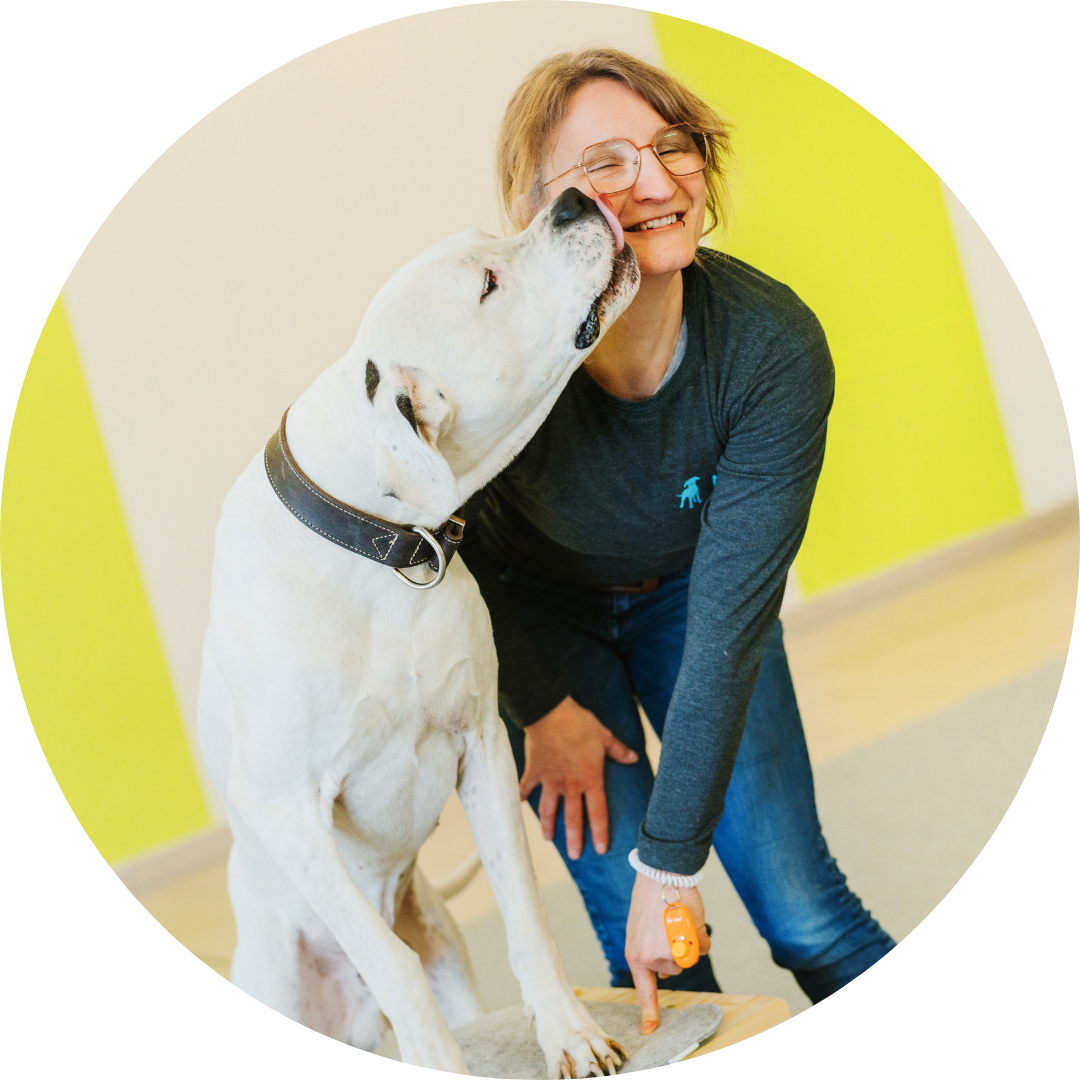 Kunststücke mit Hund