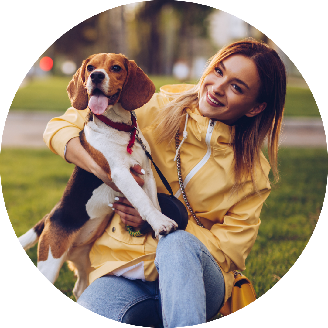 Mensch-Hund-Team Hundetraining