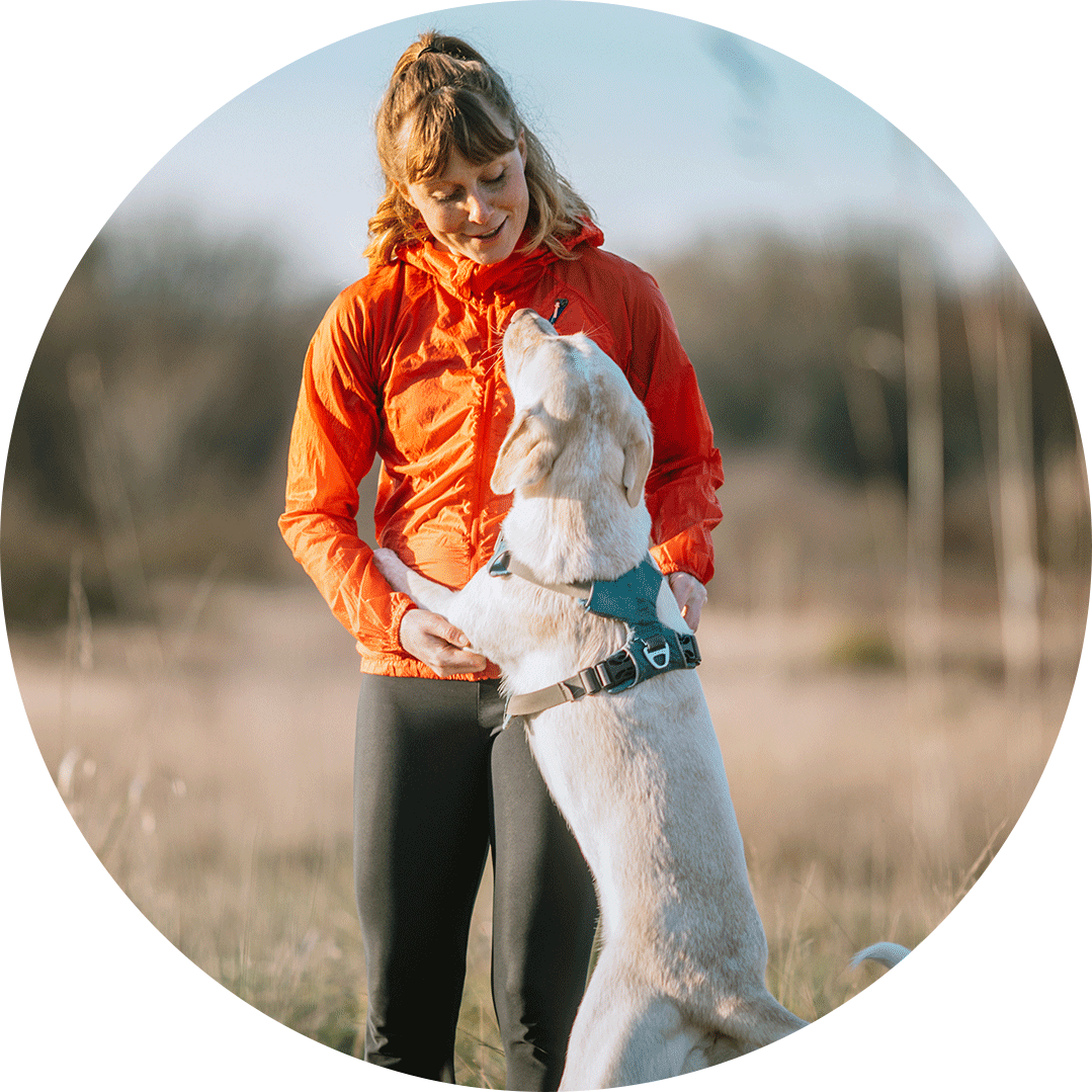 Mensch-Hund-Team Hundetraining